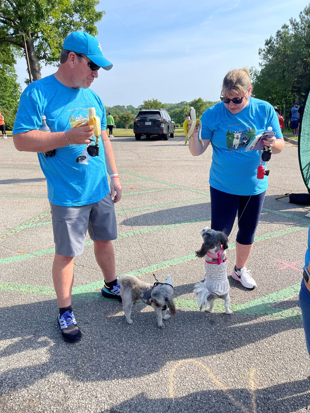 Pet Adoptions Racing for Rescues at Dorothea Dix Park in Raleigh Event photo