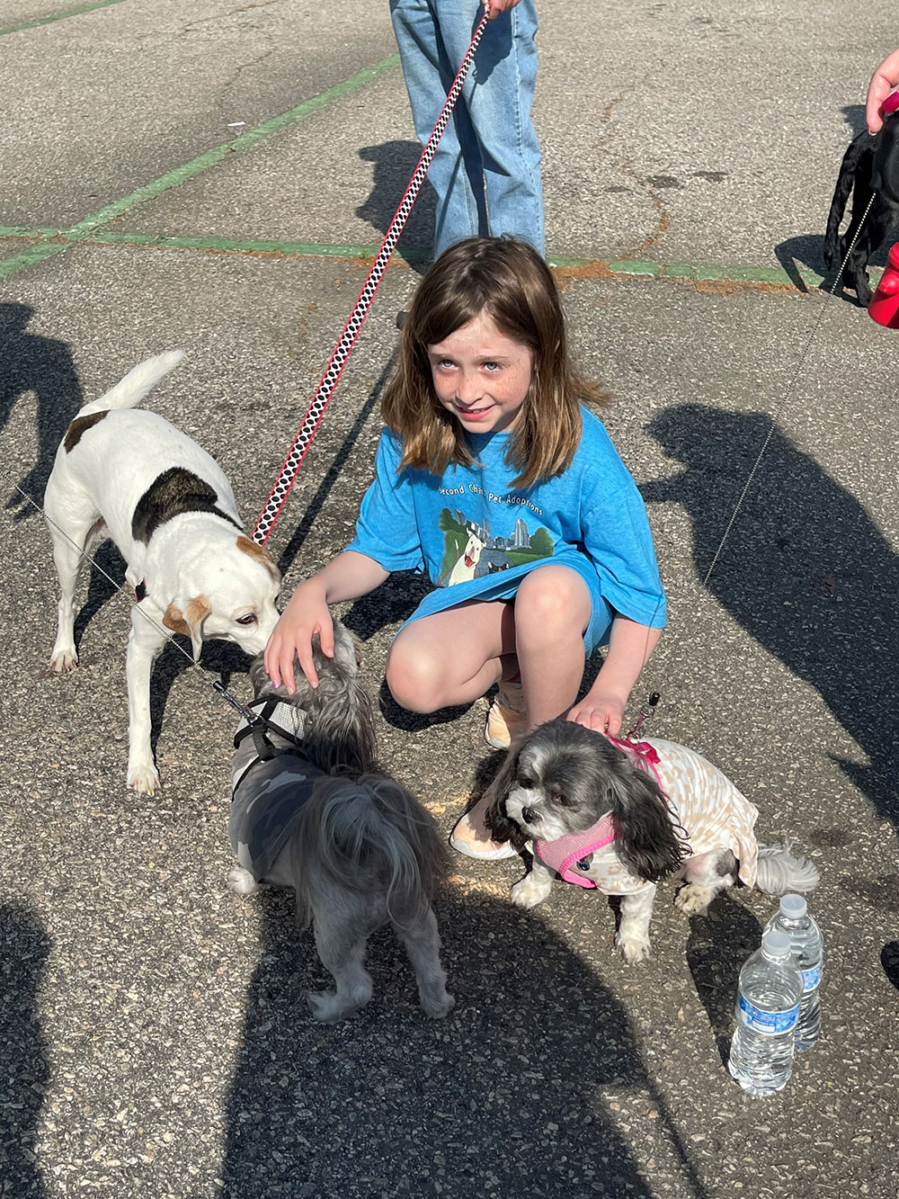 Pet Adoptions Racing for Rescues at Dorothea Dix Park in Raleigh Event photo